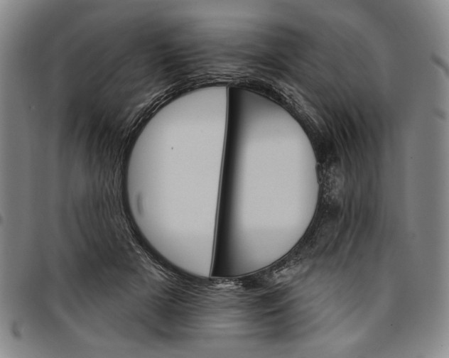 X0000096660505200802191310