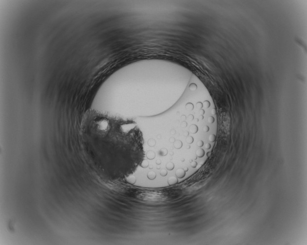 X0000096660507200802191310