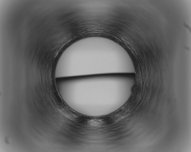 X0000096660508200802191310