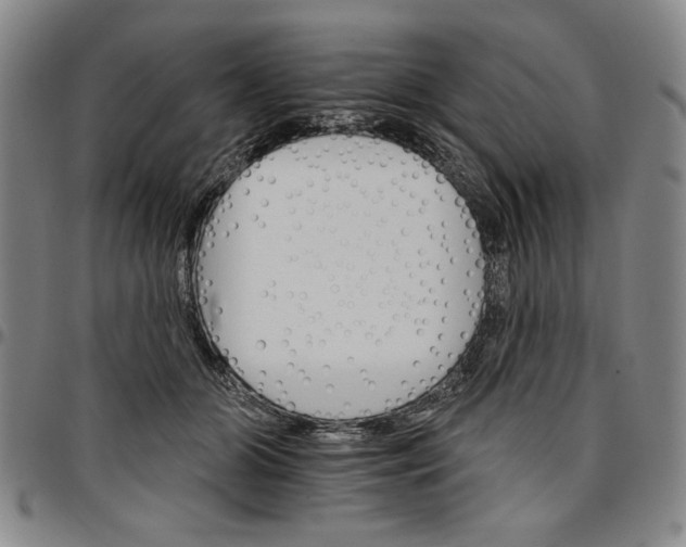 X0000096660510200802191310