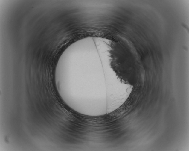 X0000096660511200802191310