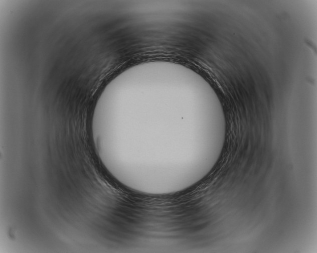 X0000096660512200802191310