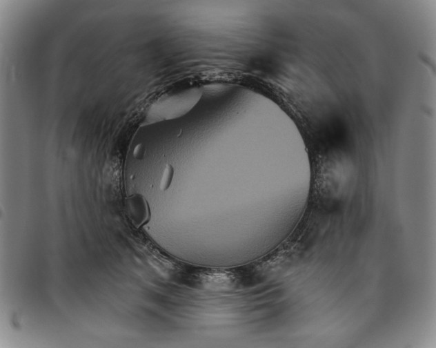 X0000096660513200802191310