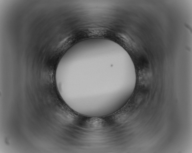 X0000096660514200802191310