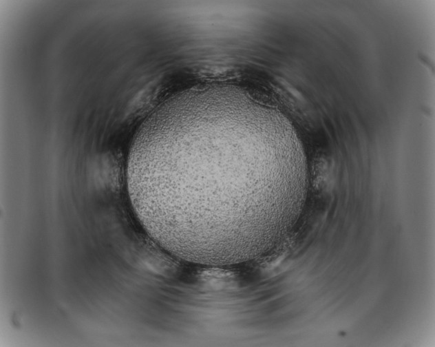 X0000096660515200802191310