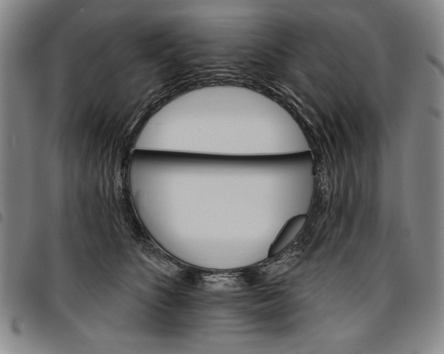 X0000096660516200802191310