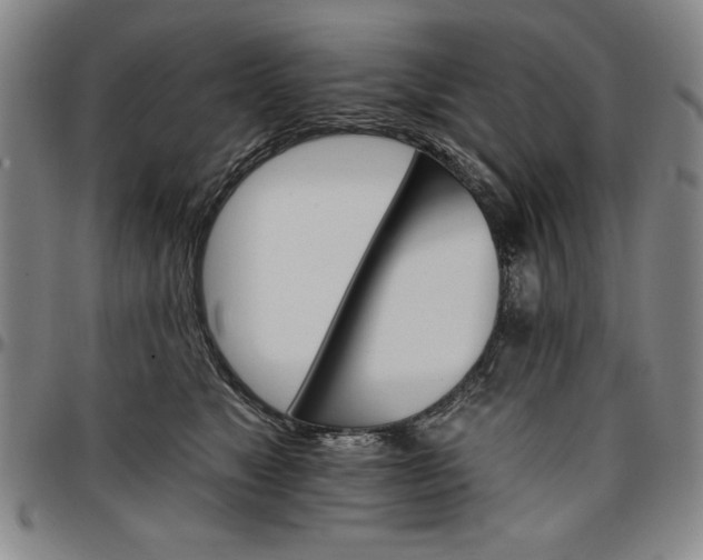 X0000096660517200802191310