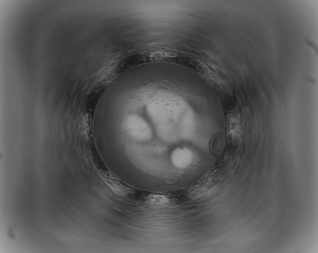 X0000096660519200802191310