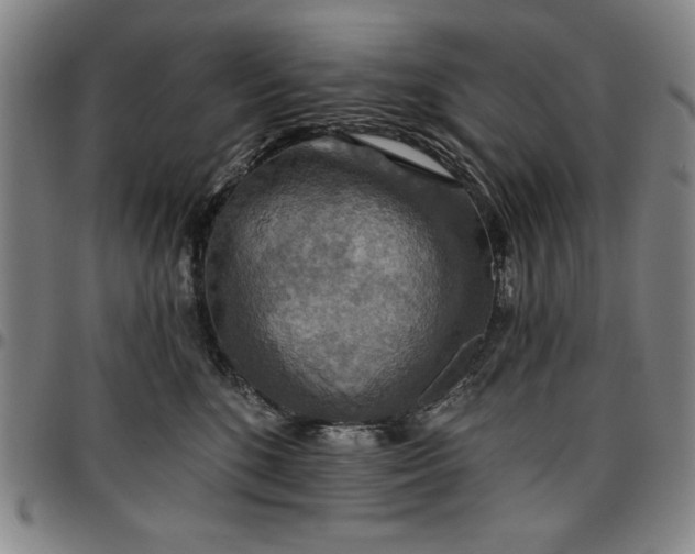 X0000096660520200802191310