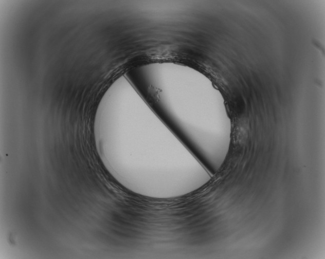 X0000096660521200802191310