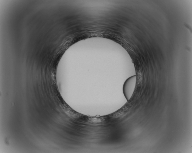 X0000096660522200802191310