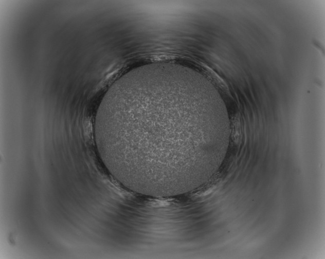 X0000096660523200802191310