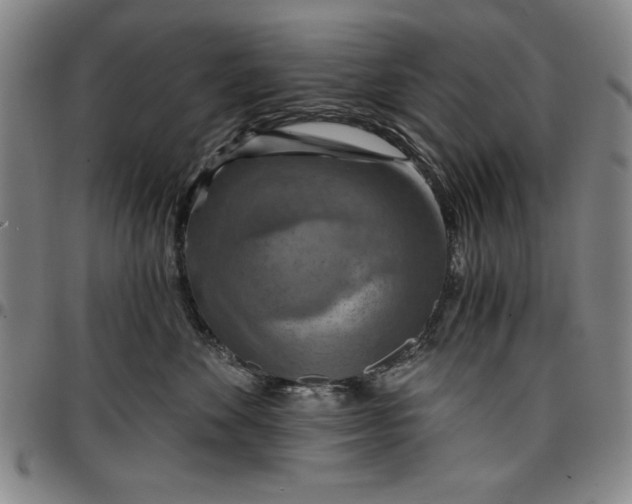 X0000096660524200802191310