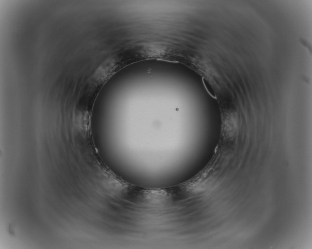 X0000096660525200802191310