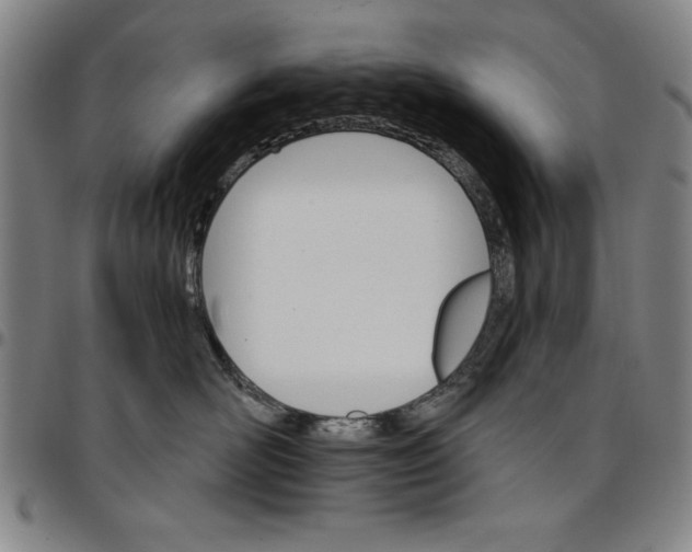 X0000096660526200802191310