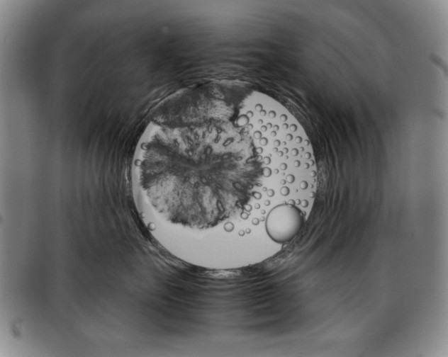 X0000096660527200802191310