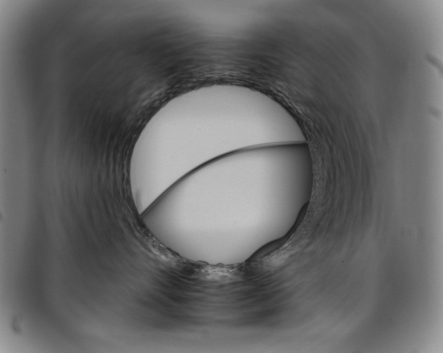 X0000096660528200802191310