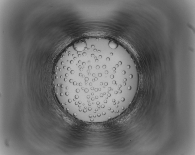 X0000096660529200802191309