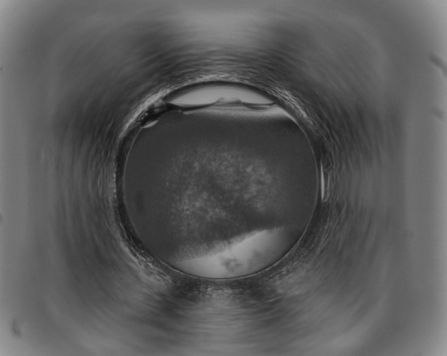 X0000096660531200802191309