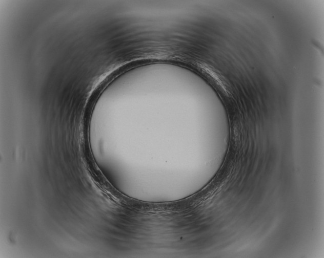 X0000096660532200802191309