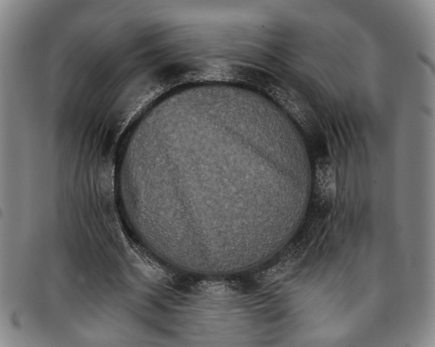 X0000096660534200802191309