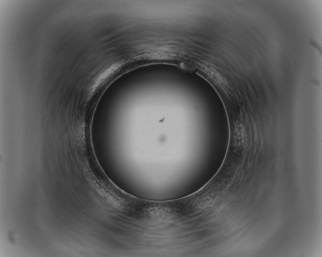 X0000096660535200802191309