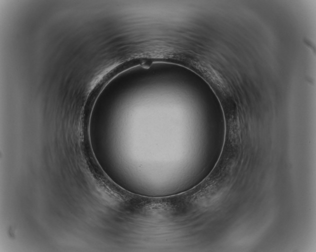 X0000096660536200802191309