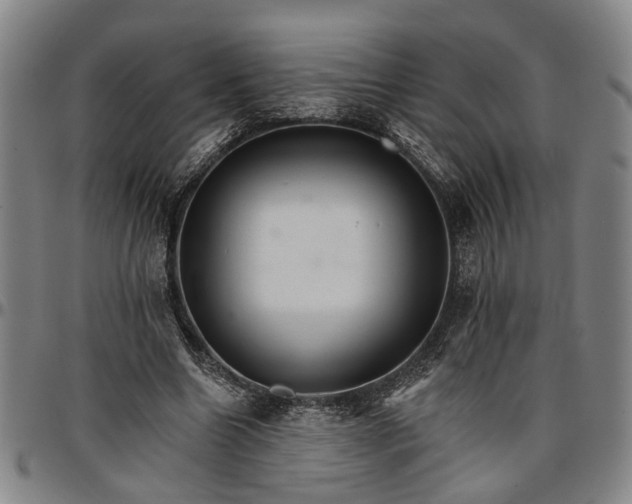 X0000096660538200802191309