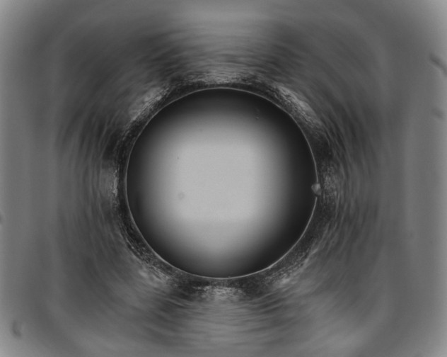 X0000096660539200802191309