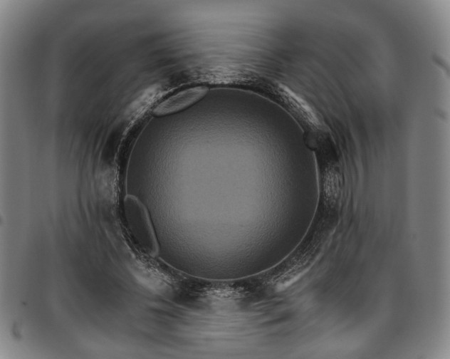 X0000096660540200802191309