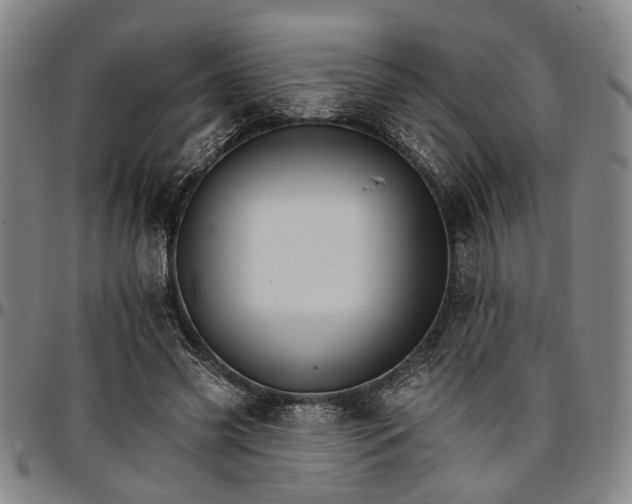 X0000096660541200802191309