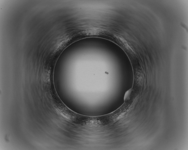 X0000096660543200802191309