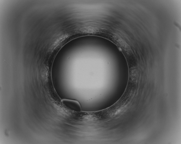 X0000096660544200802191309