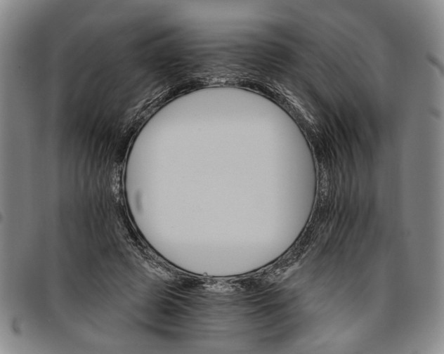 X0000096660545200802191309