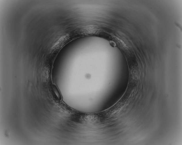 X0000096660546200802191309