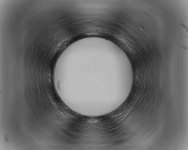 X0000096660547200802191309