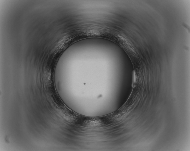 X0000096660548200802191309