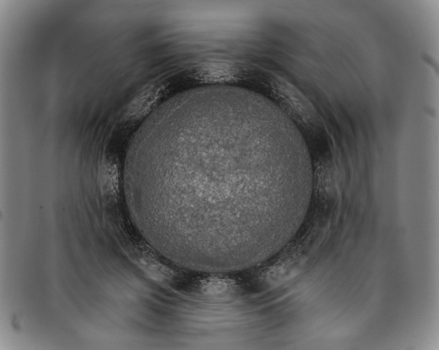 X0000096660549200802191309