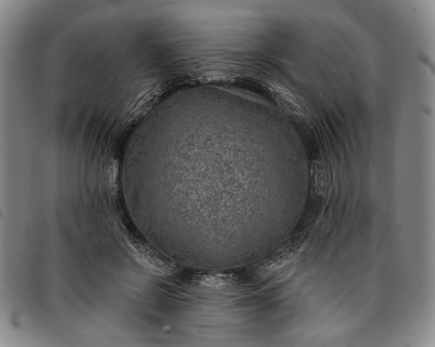 X0000096660550200802191309