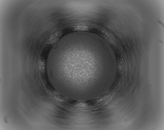 X0000096660551200802191309