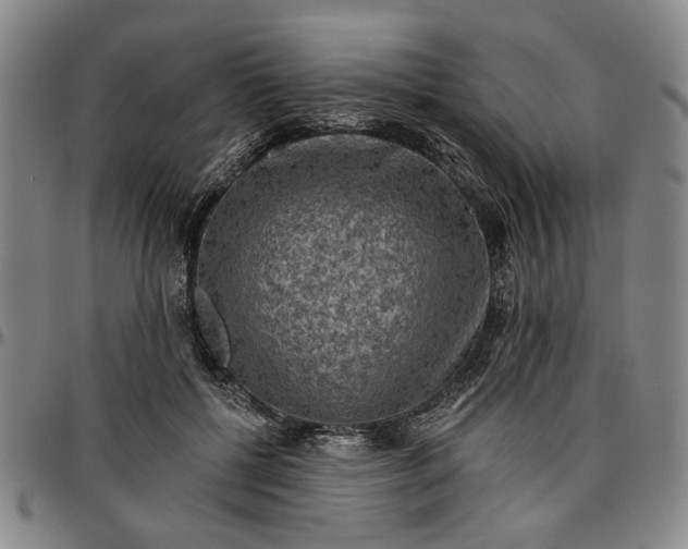 X0000096660552200802191309