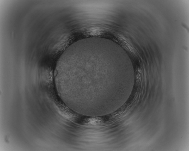 X0000096660555200802191309