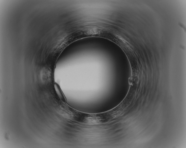 X0000096660556200802191309