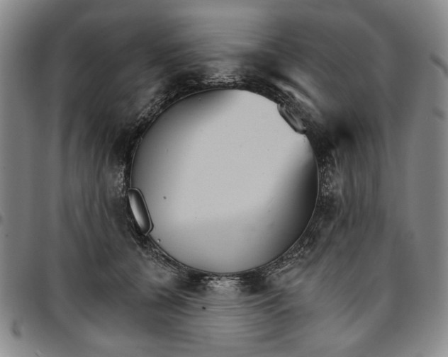 X0000096660560200802191309