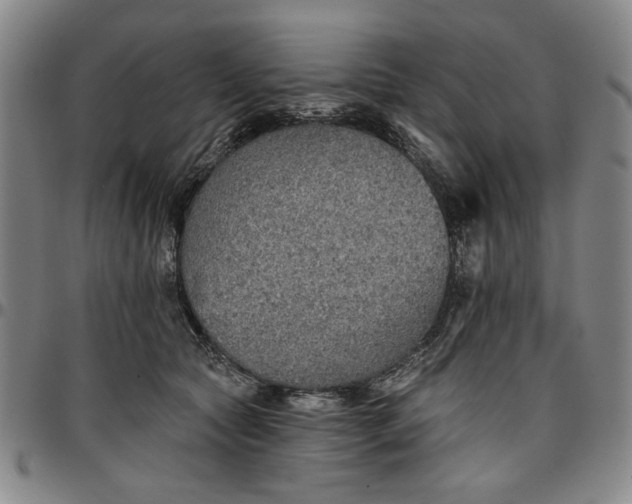 X0000096660561200802191309