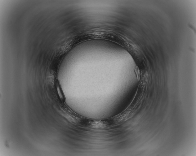 X0000096660562200802191309