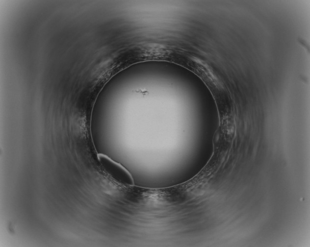 X0000096660564200802191309