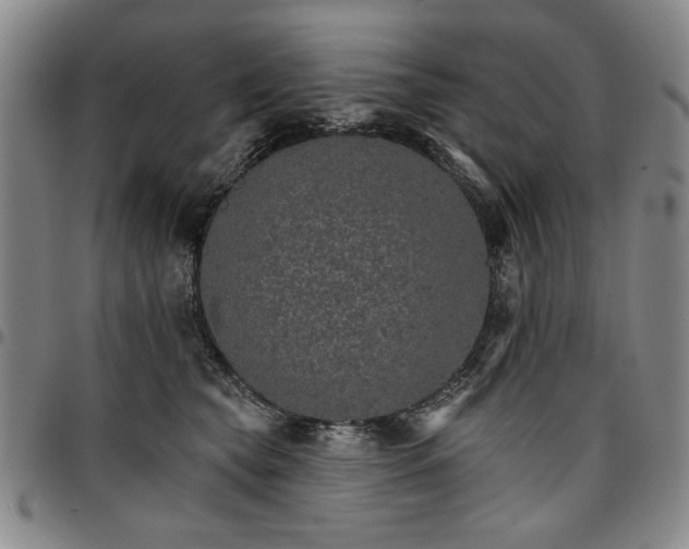 X0000096660565200802191309