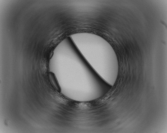 X0000096660566200802191309