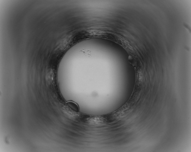 X0000096660567200802191309